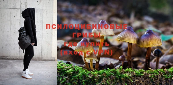 PSILOCYBIN Богородск